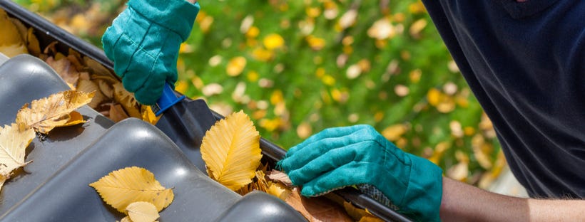 Cleaning fallen leaves from roof gutter